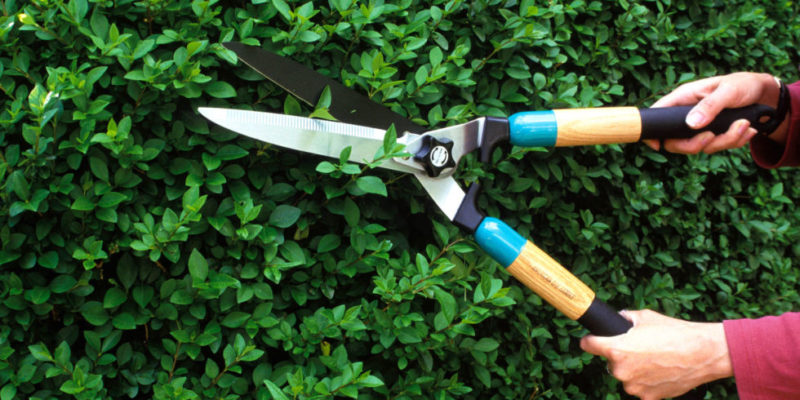 pruning-tools-1