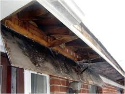 damage from clogged gutters