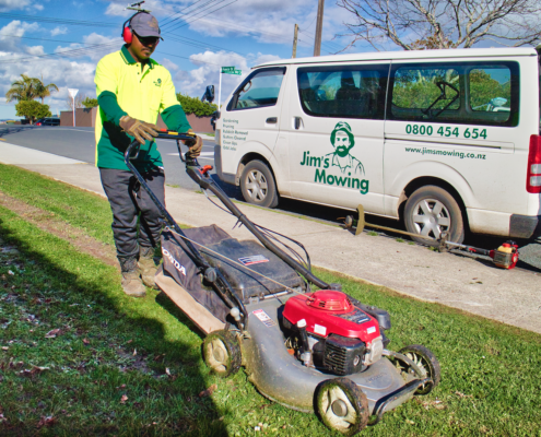 lawn mowing new zealand