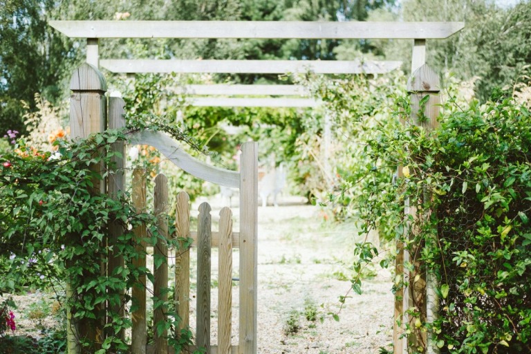 What are 10 Side Yard Ideas to Revamp an Outdoor Space? - Jim's Mowing NZ