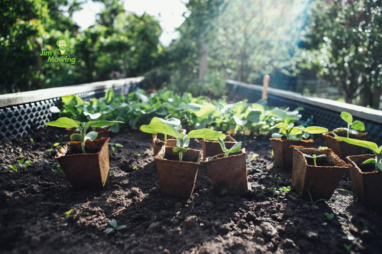 Raised Garden Bed Ideas - Jim's Mowing NZ