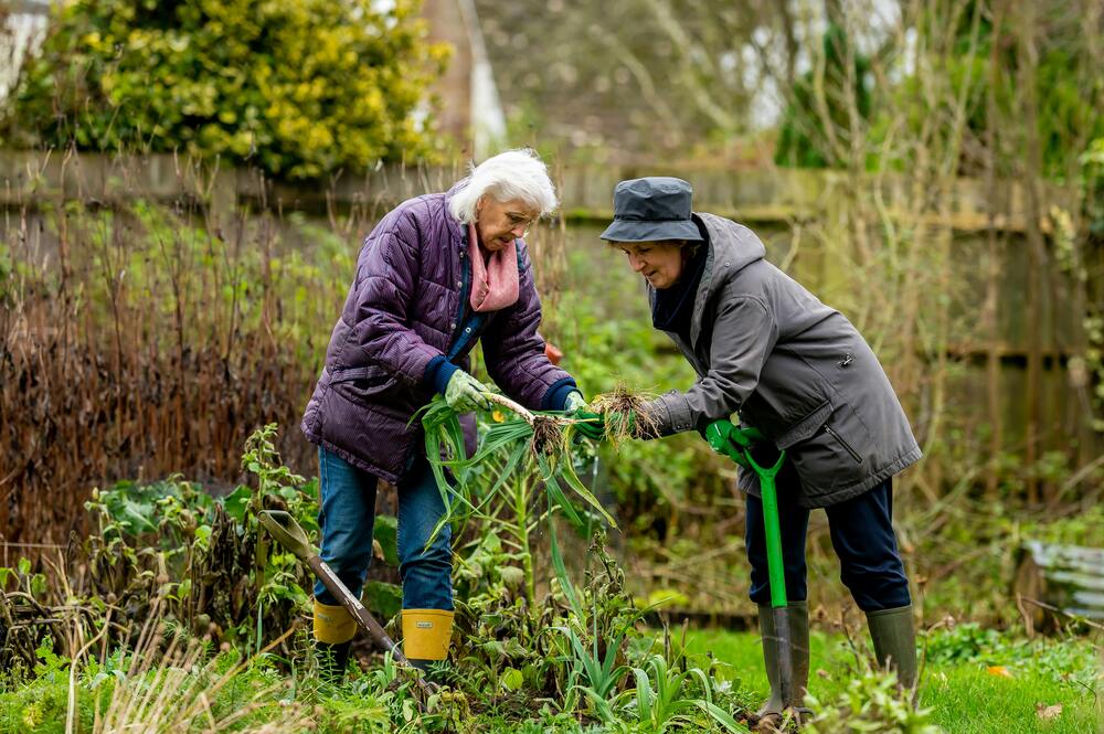 two elderly woman gardening