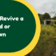 How Do I Revive a Neglected or Overgrown Garden