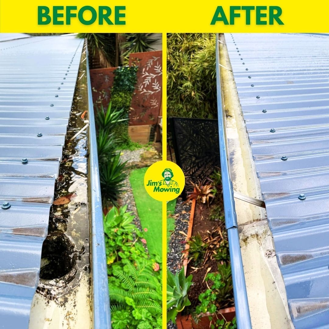 Gutter CLeaning Before and After 1
