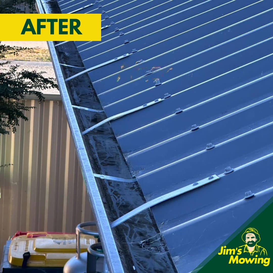 Gutter Cleaning After 1
