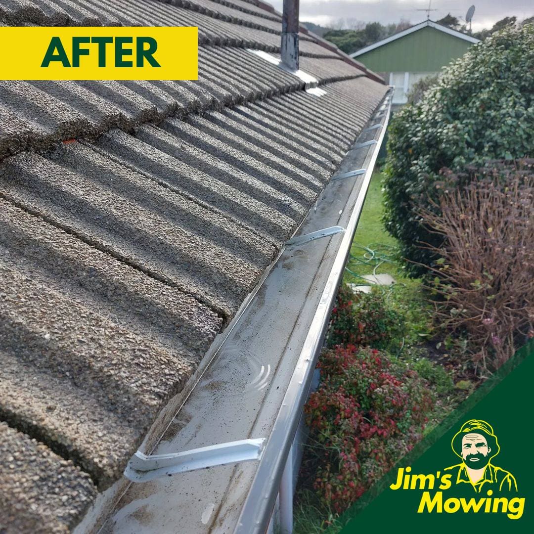 Gutter Cleaning After 2