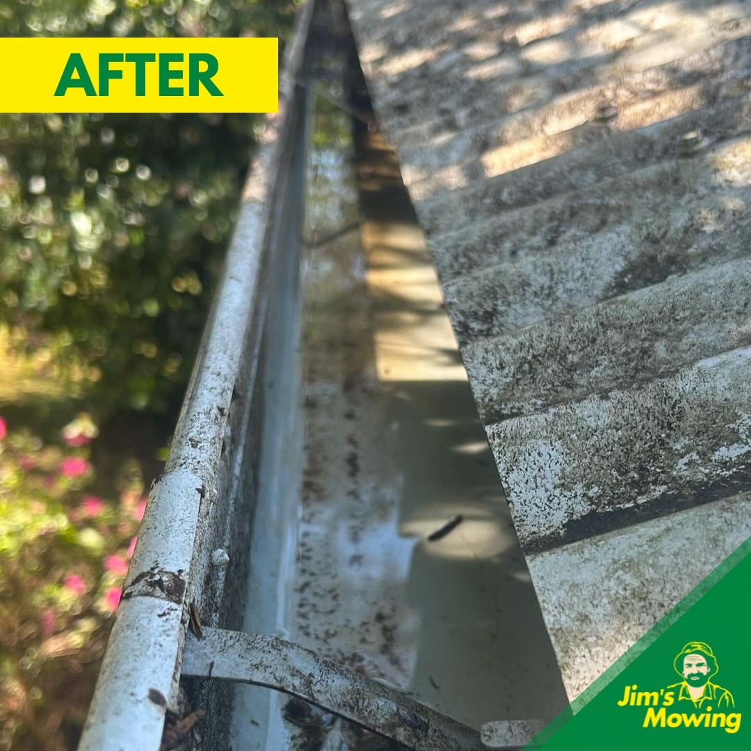 Gutter Cleaning After 3
