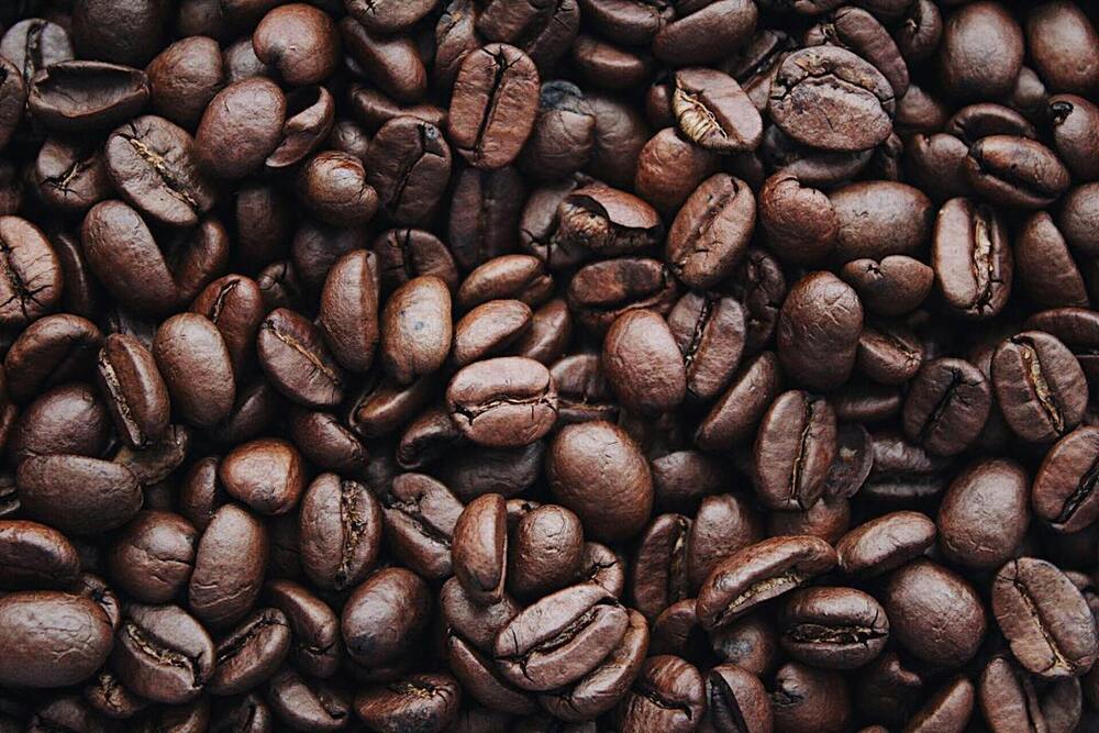 Are Coffee Grounds Good for the Garden