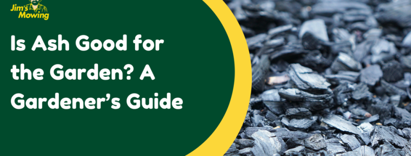 Is Ash Good for the Garden A Gardener’s Guide