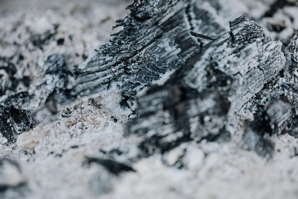 Is Ash Good for the Garden